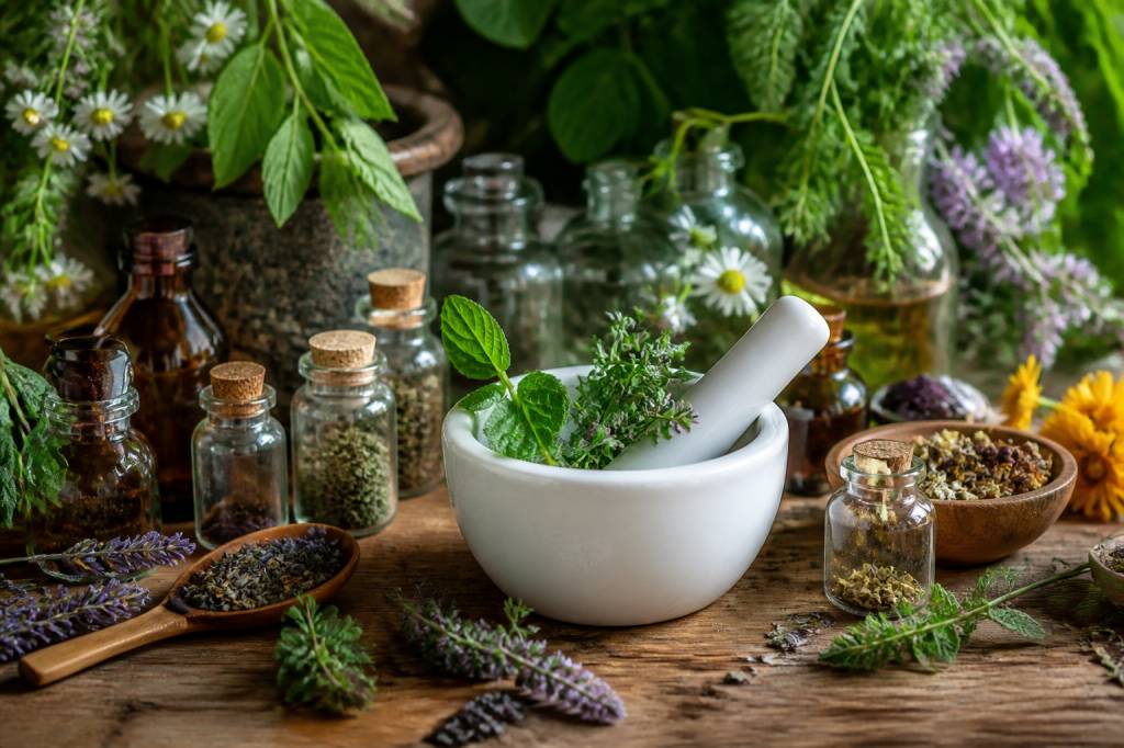 Naturopatia significato e benefici per il benessere naturale